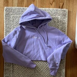 Champion cropped hoodie (UO Exclusive)